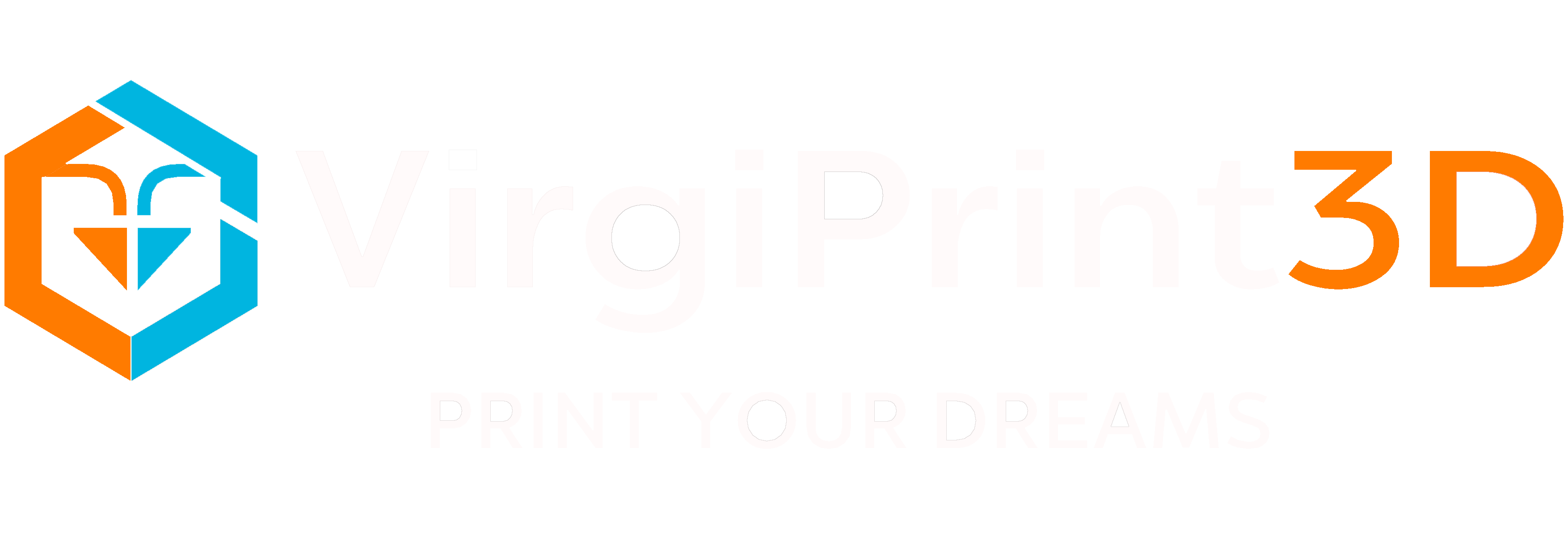 VirgiPrint3D Logo
